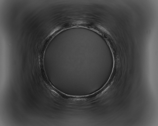 X0000087011305200705071518