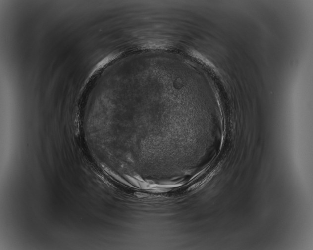 X0000087011306200705071518