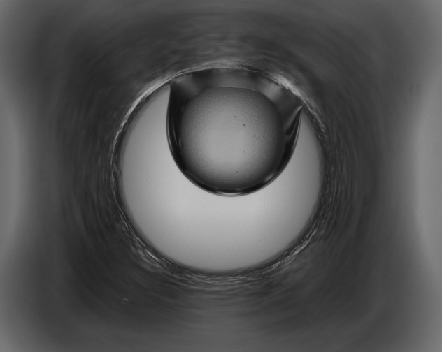 X0000087011308200705071518