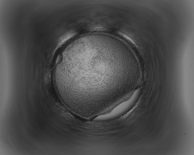 X0000087011309200705071518