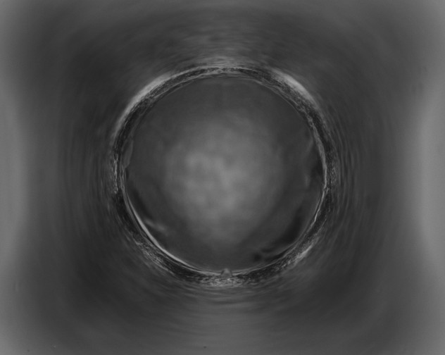 X0000087011310200705071518