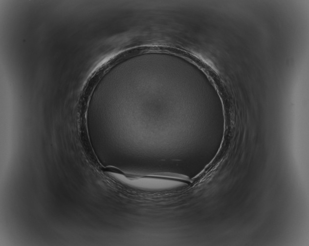 X0000087011311200705071518