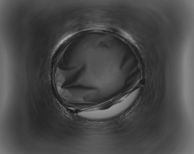 X0000087011312200705071518