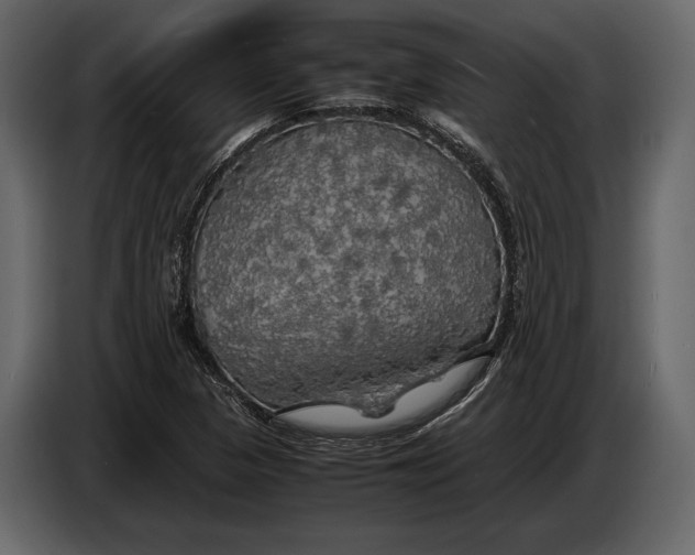 X0000087011313200705071518