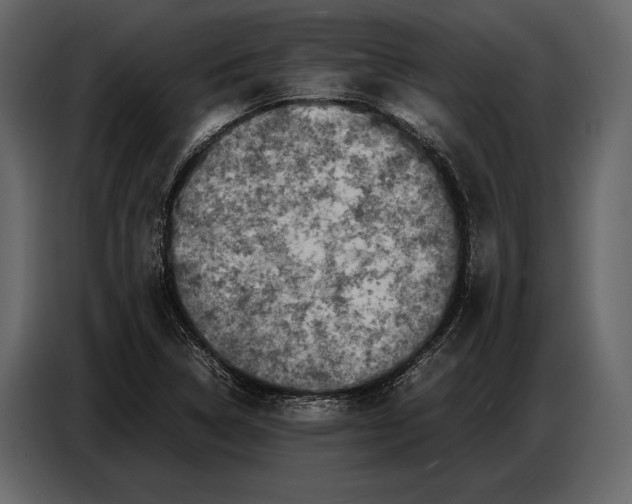 X0000087011314200705071518