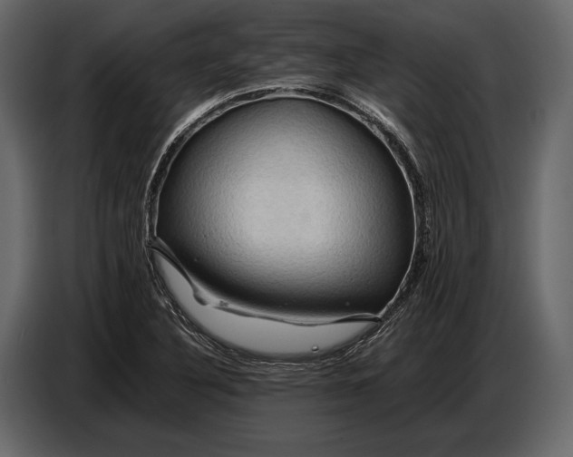 X0000087011316200705071518