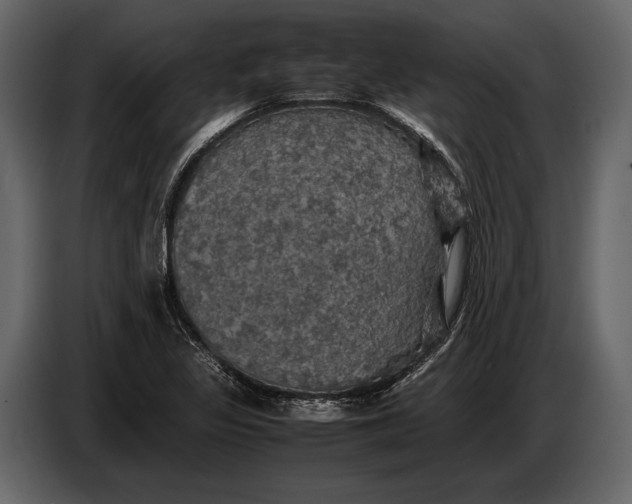 X0000087011317200705071518