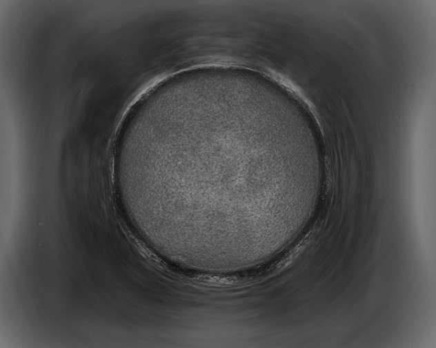 X0000087011318200705071518