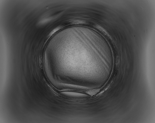 X0000087011321200705071518