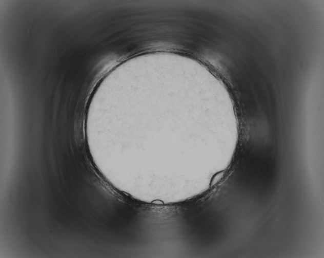 X0000087011322200705071518