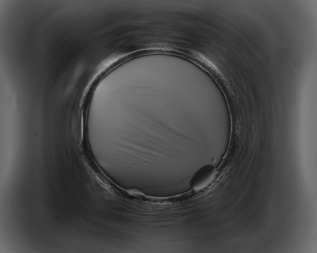 X0000087011323200705071518