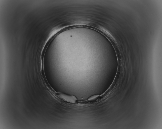 X0000087011324200705071518