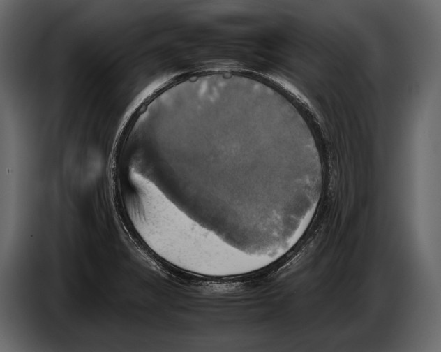 X0000087011325200705071518