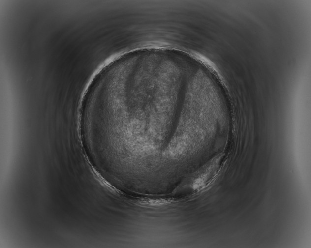 X0000087011326200705071518