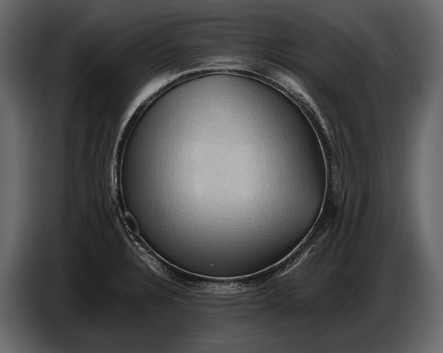 X0000087011328200705071518