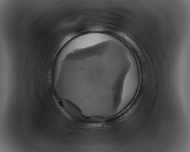 X0000087011329200705071518