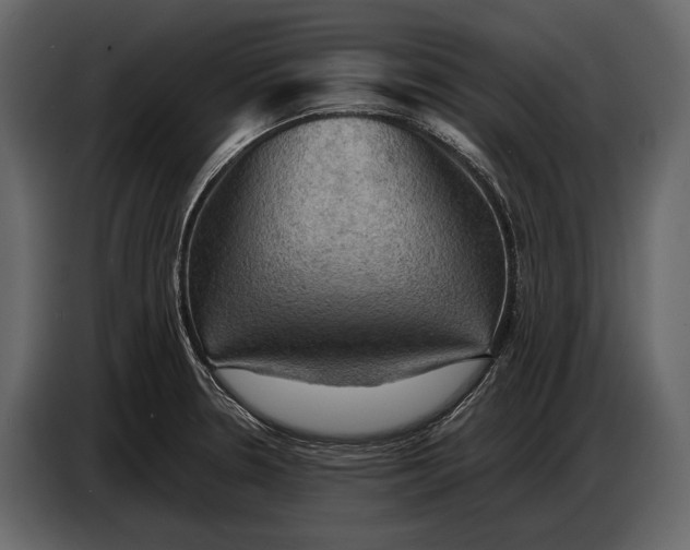 X0000087011330200705071518