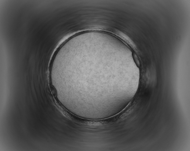 X0000087011332200705071518