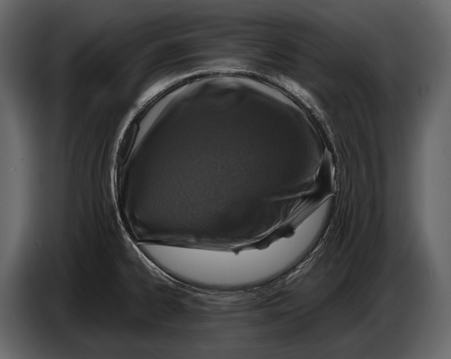 X0000087011334200705071518