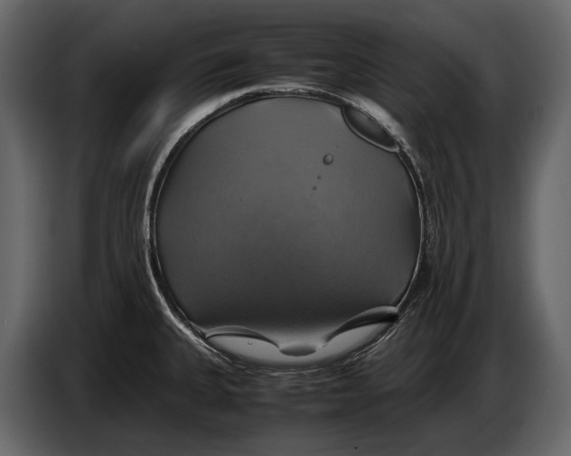 X0000087011335200705071518