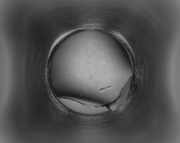 X0000087011336200705071518