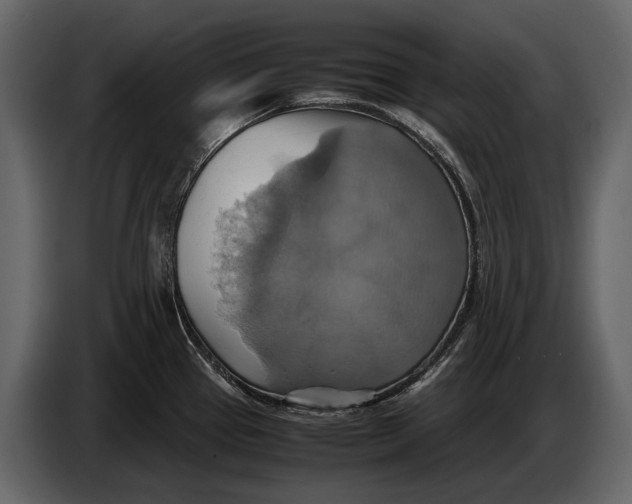 X0000087011337200705071518