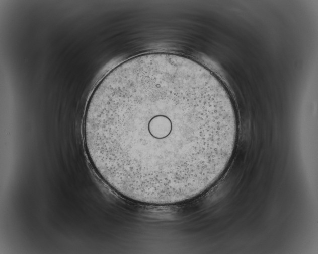 X0000087011338200705071518