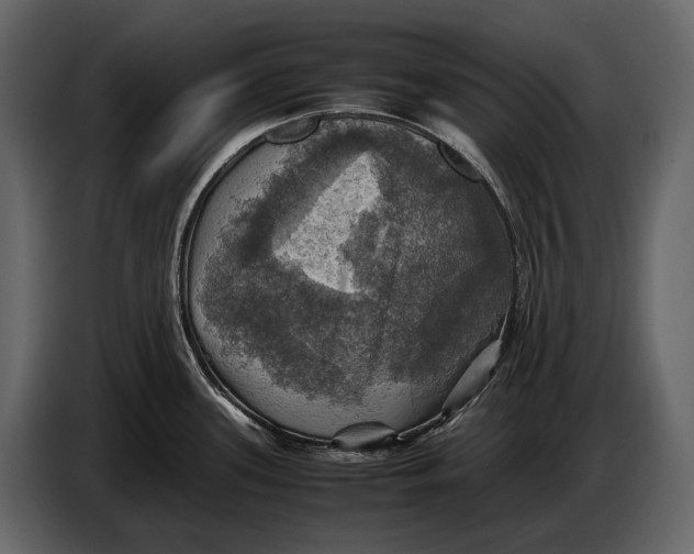 X0000087011339200705071518