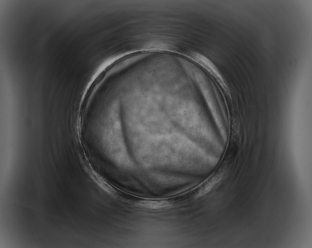 X0000087011340200705071518