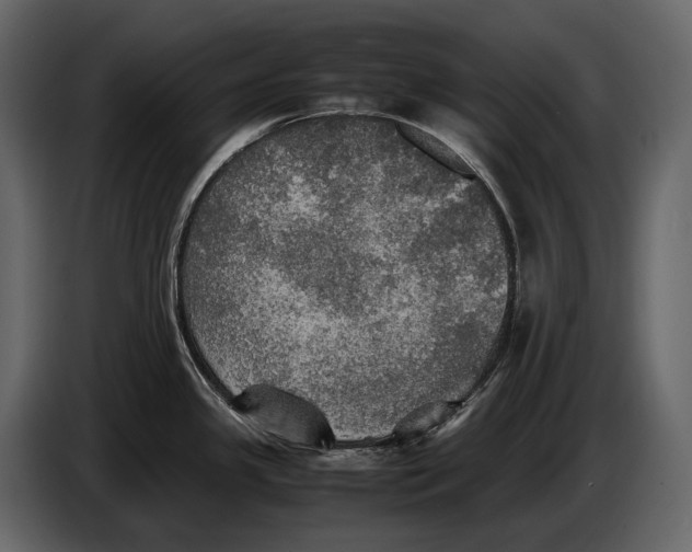 X0000087011341200705071518