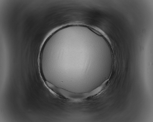 X0000087011343200705071518