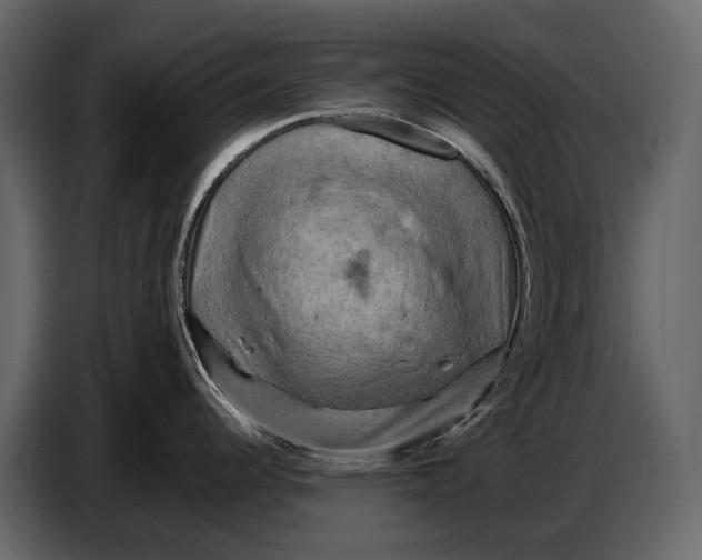 X0000087011344200705071518