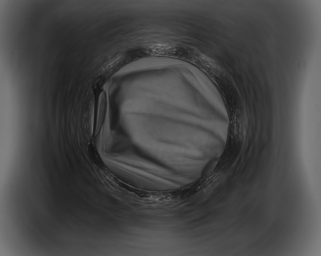 X0000087011346200705071518