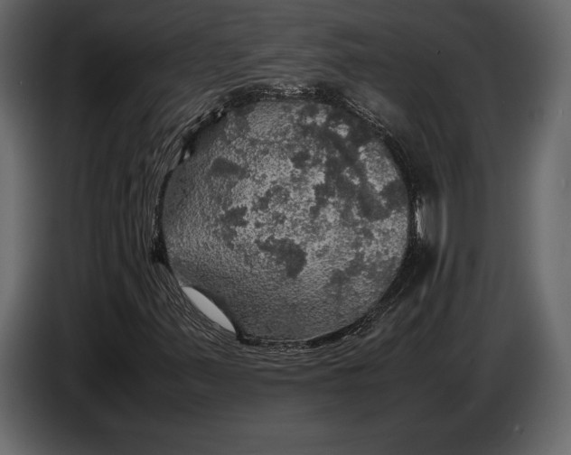 X0000087011347200705071518