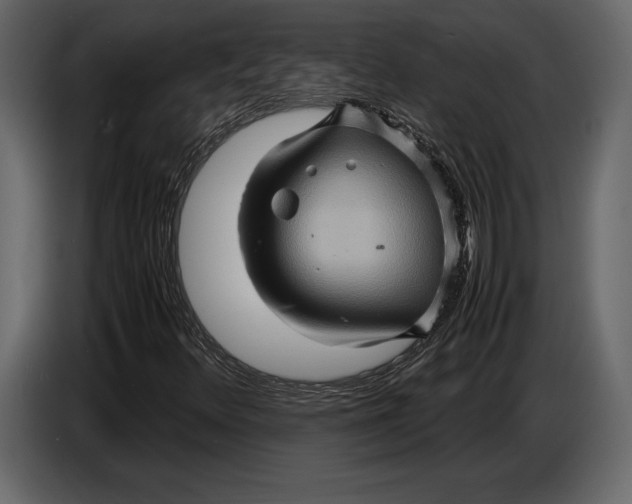 X0000087011348200705071518