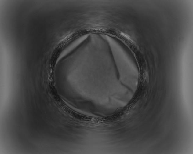 X0000087011350200705071518