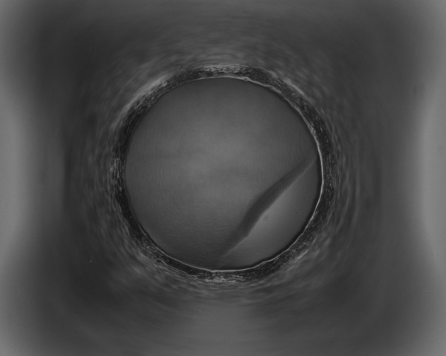 X0000087011351200705071518