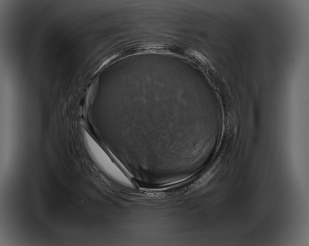 X0000087011353200705071517