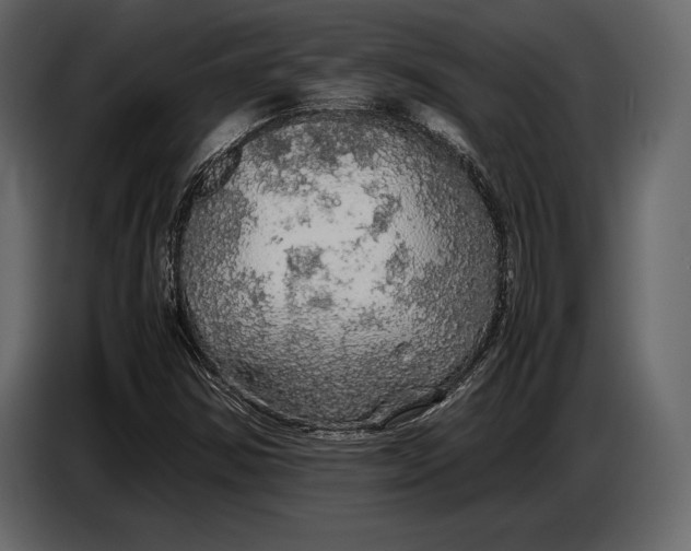 X0000087011354200705071517