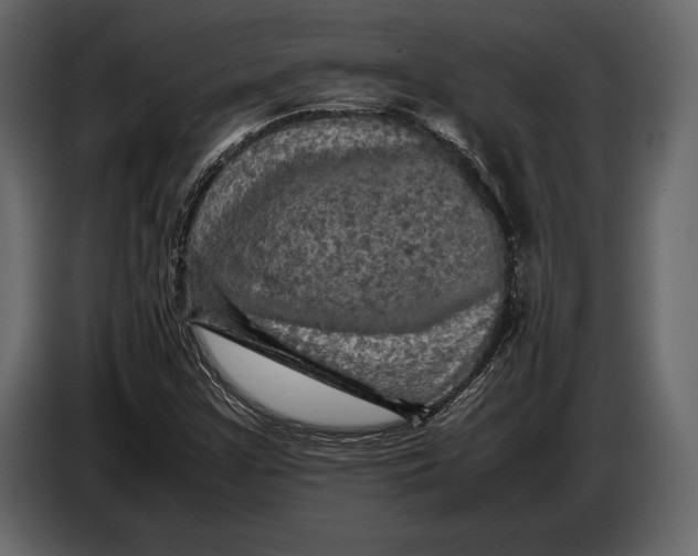 X0000087011355200705071517