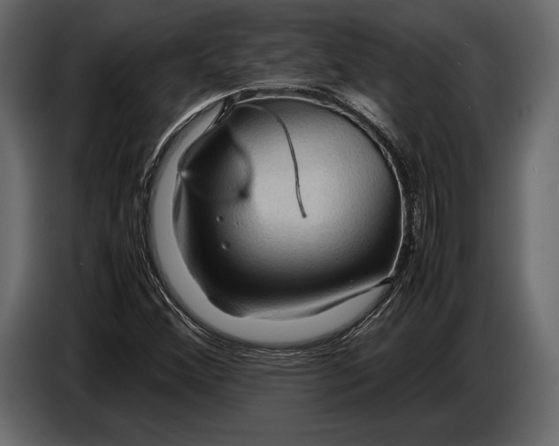 X0000087011356200705071517