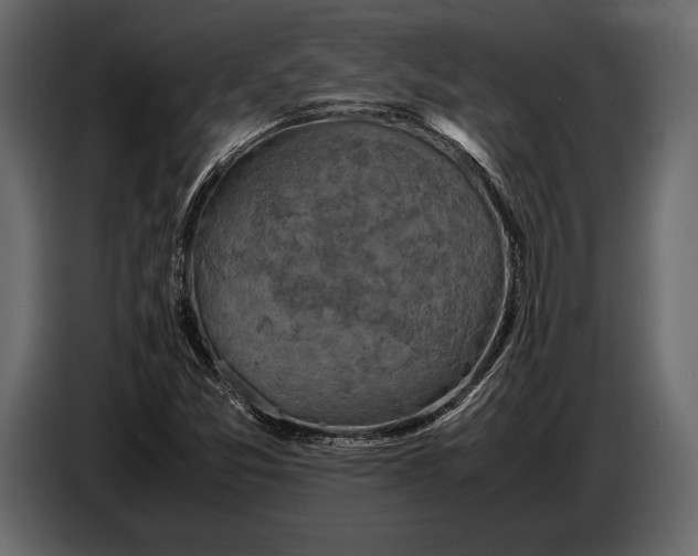 X0000087011357200705071517