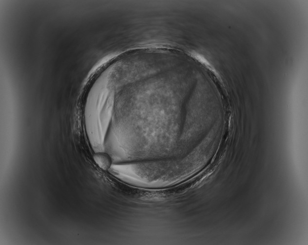 X0000087011358200705071517