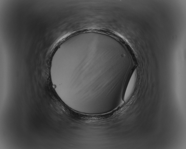 X0000087011359200705071517