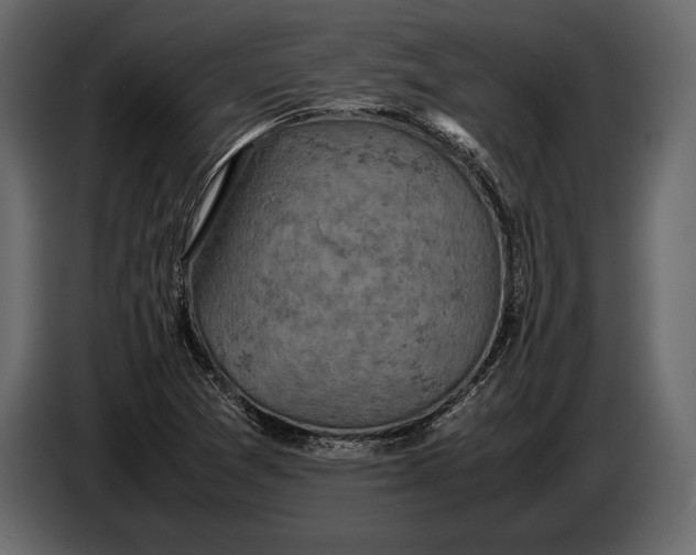 X0000087011361200705071517