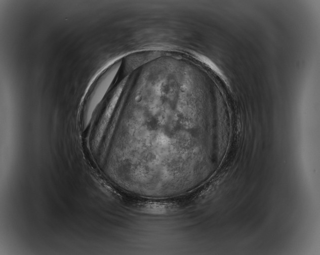 X0000087011364200705071517