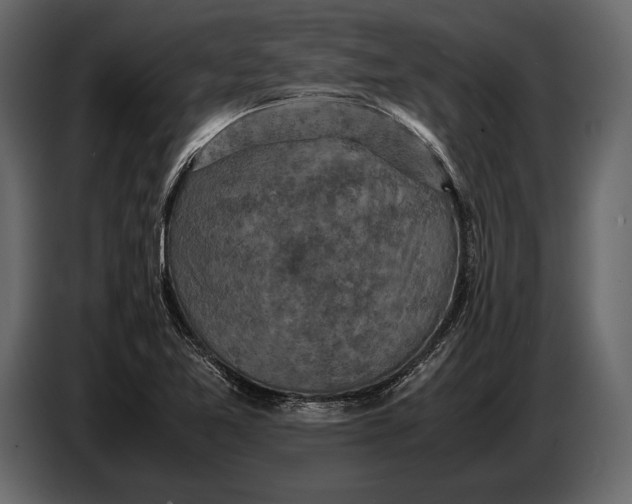 X0000087011365200705071517