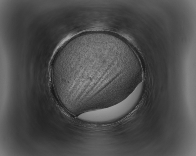 X0000087011366200705071517