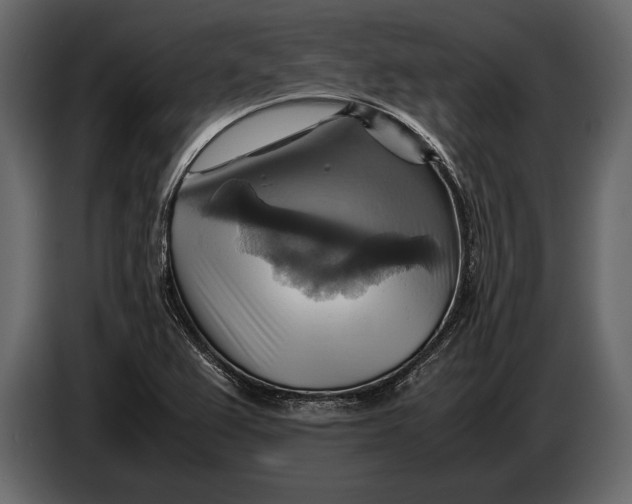 X0000087011367200705071517