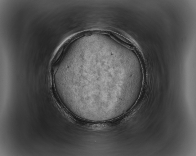 X0000087011368200705071517